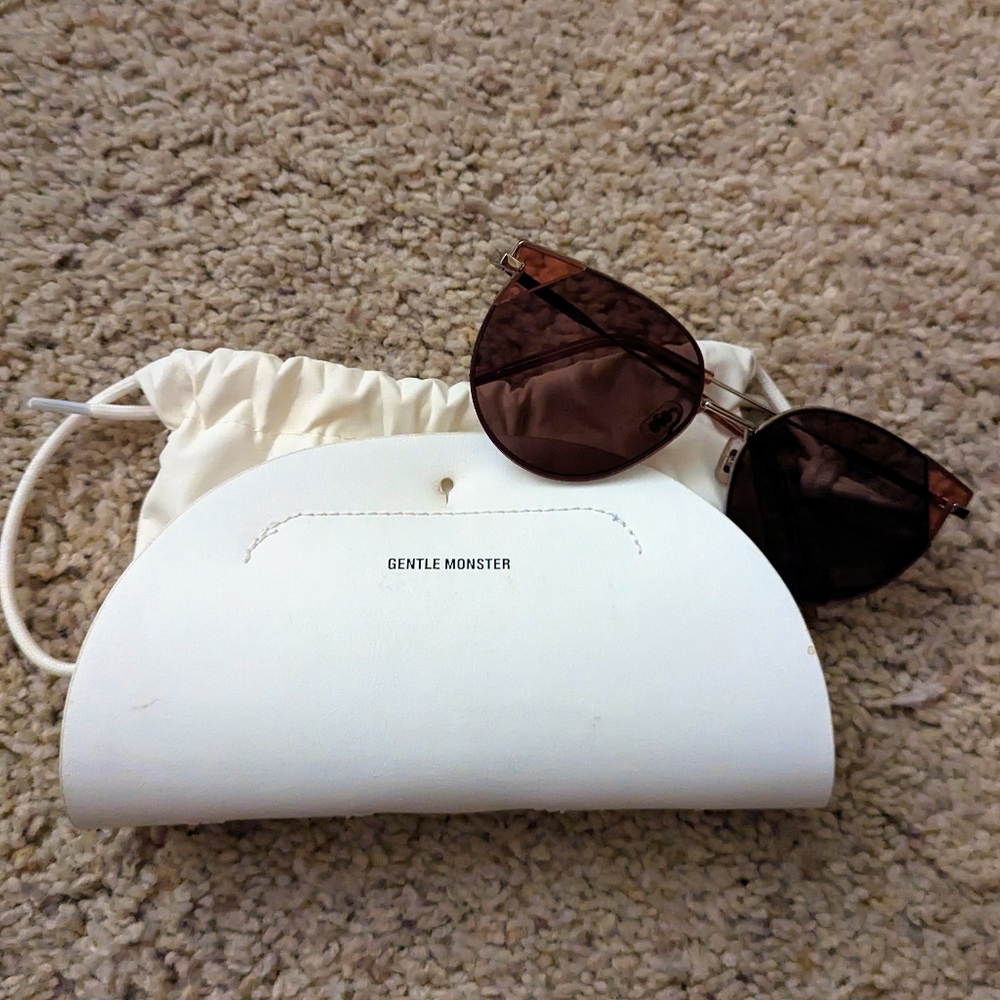 Gentle Monster mimichic V1 sunglasses
